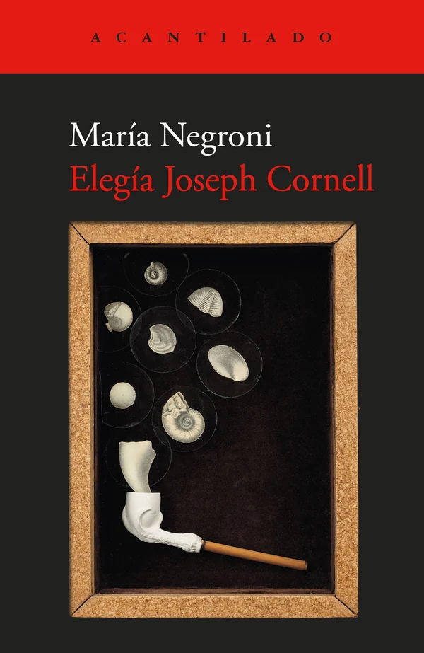 Portada de «Elegía Joseph Cornell», de María Negroni