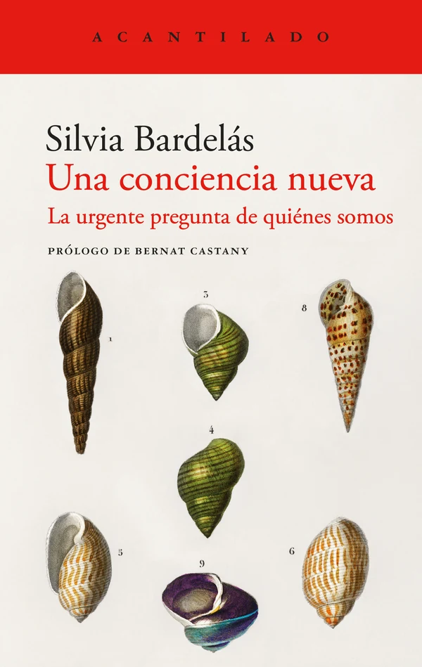 Portada de «Una conciencia nueva», de Silvia Bardelás