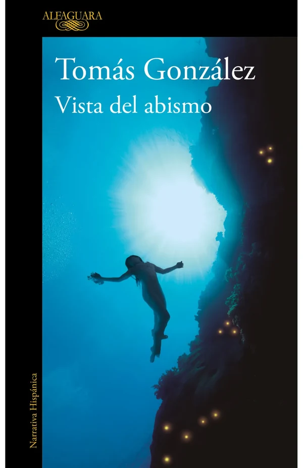 Portada de «Vista del abismo», de Tomás González
