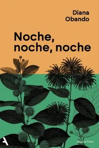 Portada de «Noche, noche, noche», de Diana Obando