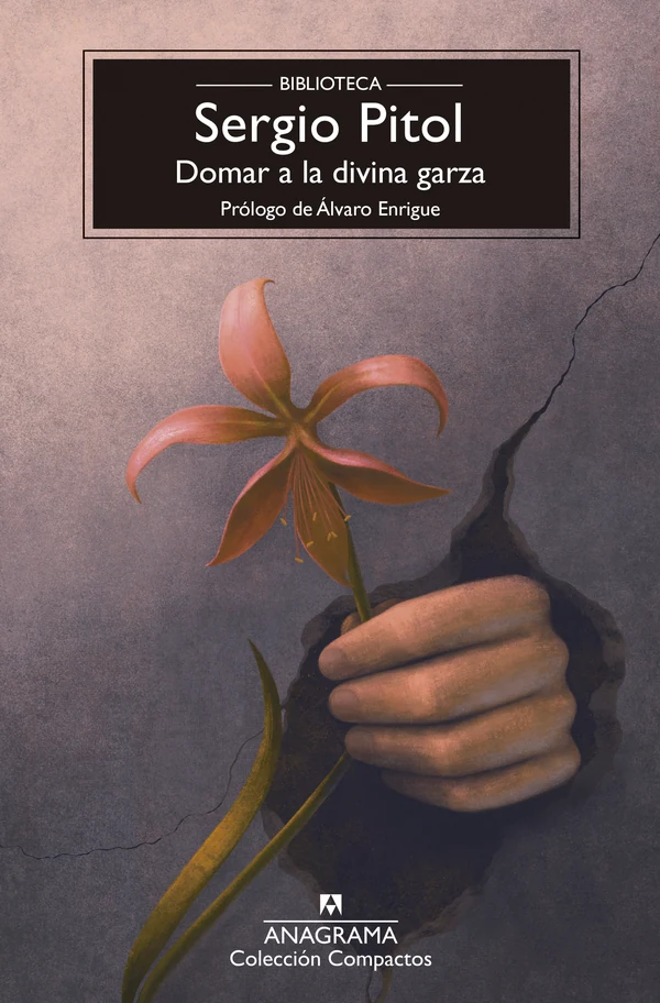 Portada de «Domar a la divina garza», de Sergio Pitol