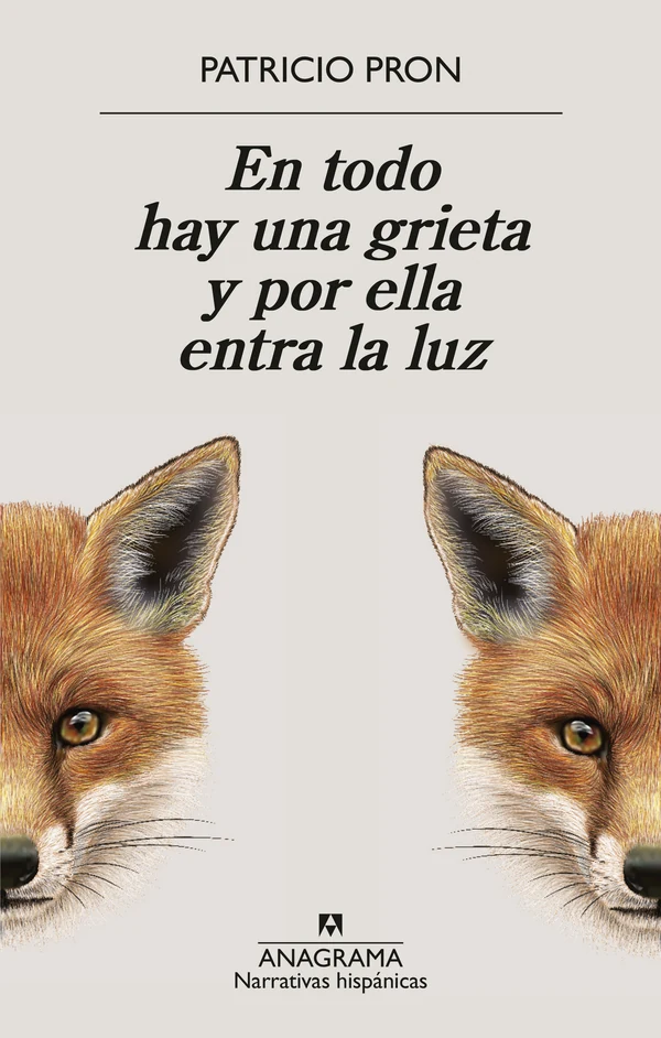 Portada de «En todo hay una grieta y por ella entra la luz», de Patricio Pron
