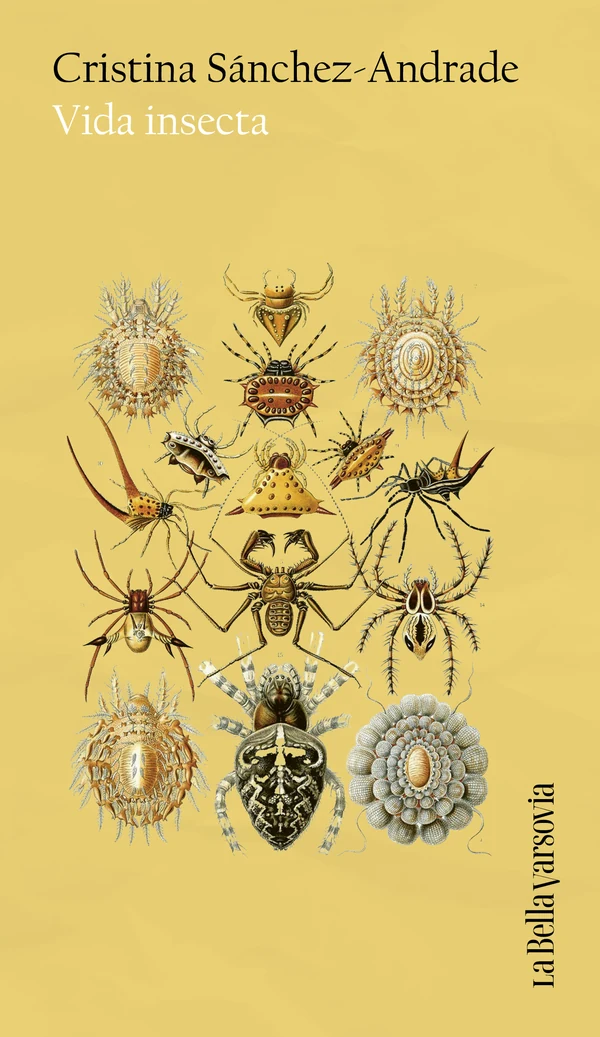 Portada de «Vida insecta», de Cristina Sánchez-Andrade