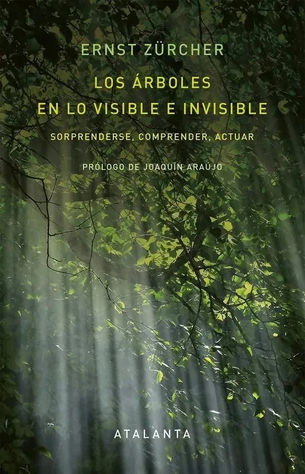 Portada de «Los árboles en lo visible e invisible», de Ernst Zürcher