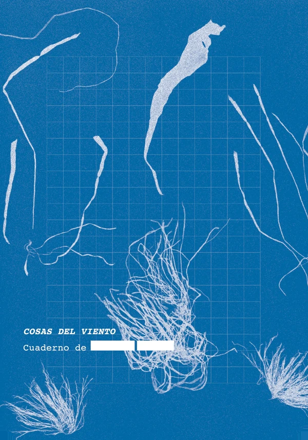 Portada de «Cosas del viento», de Anónimo