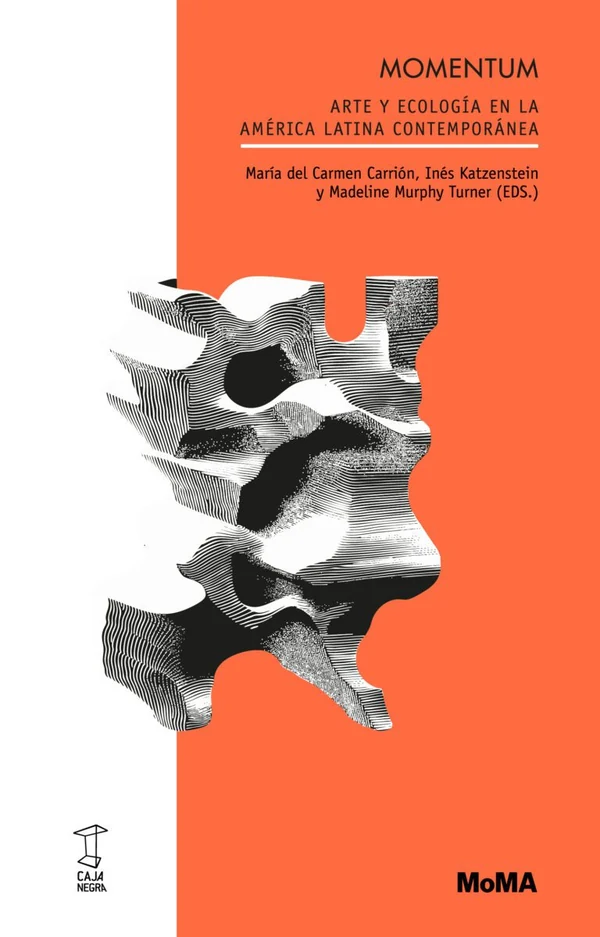 Portada de «Momentum», de María del Carmen Carrión, Inés Katzenstein, Madeline Murphy Turner