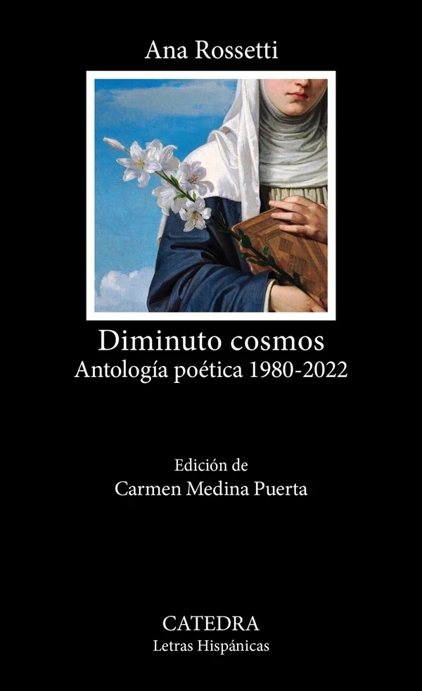 Portada de «Diminuto cosmos», de Ana Rossetti
