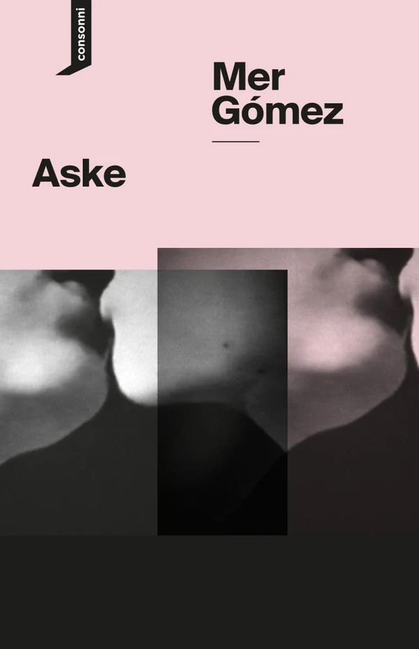 Portada de «Aske», de Mer Gómez