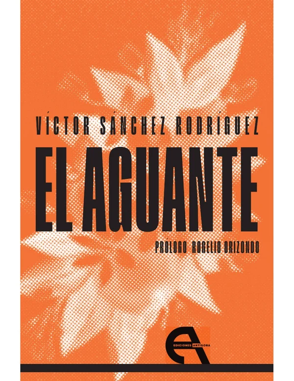 Portada de «El aguante», de Víctor Sánchez Rodríguez