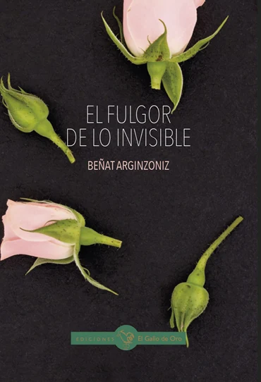 Portada de «EL FULGOR DE LO INVISIBLE», de Beñat Arginzoniz
