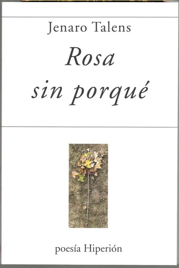 Portada de «Rosa sin porqué», de Jenaro Talens