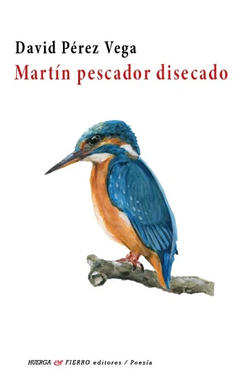 Portada de «Martín pescador disecado», de David Pérez Vega