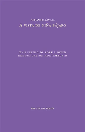 Portada de «A vista de niña pájaro», de Alejandra Sevilla