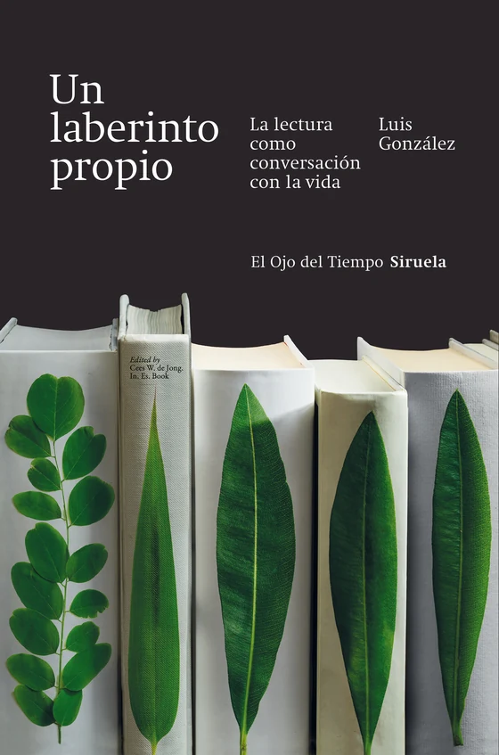 Portada de «Un laberinto propio», de Luis González