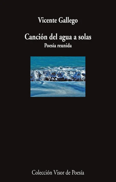 Portada de «Canción del agua a solas», de Vicente Gallego