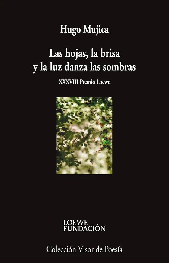 Portada de «Las hojas, la brisa y la luz danza las sombras», de Hugo Mujica